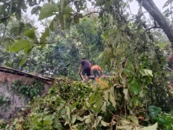 Perkembangan Situasi dan Penanganan Bencana Tanggal 23 Februari 2025